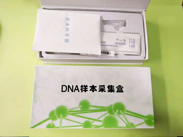 產(chǎn)品01